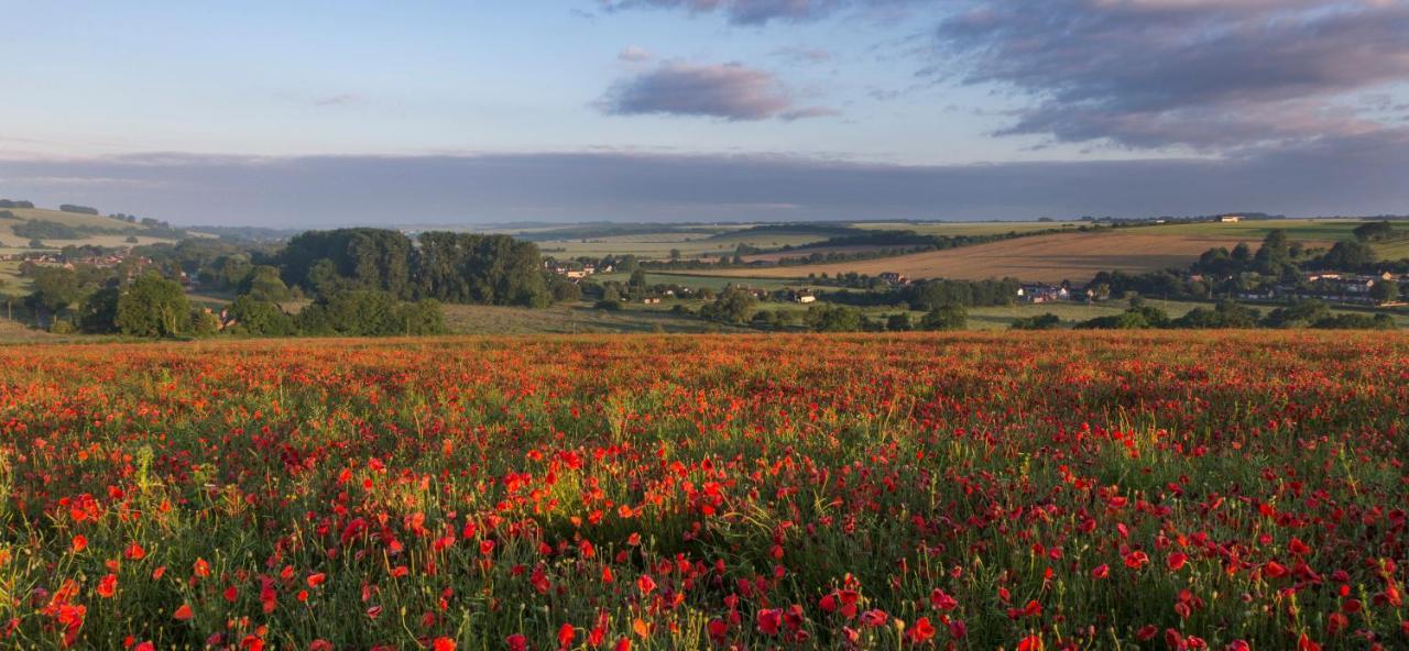 Готель The Queen'S Head At Broad Chalke Екстер'єр фото
